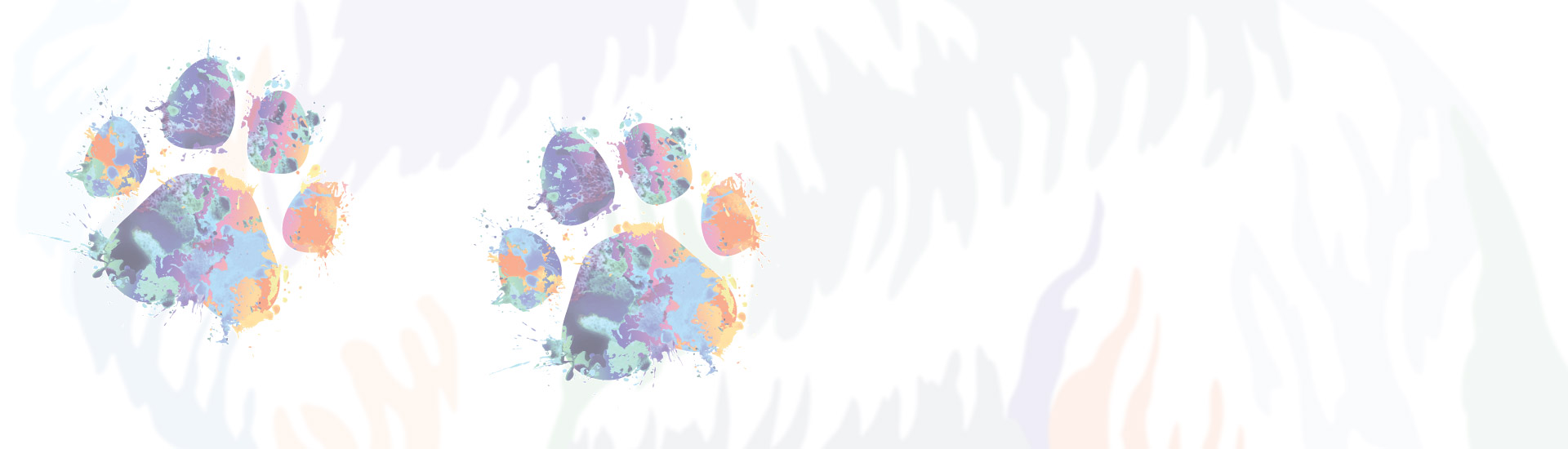 Image Background