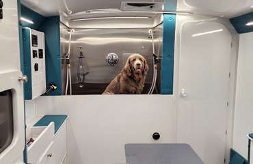 Dirty Dogs grooming